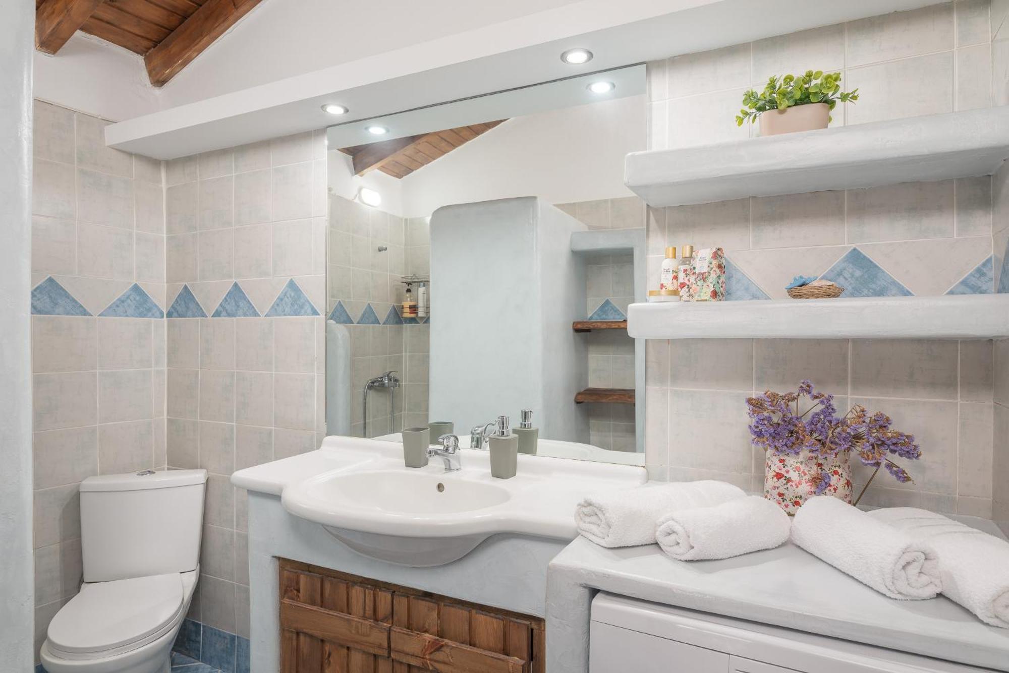 Ether Farmhouse Chora  Ngoại thất bức ảnh