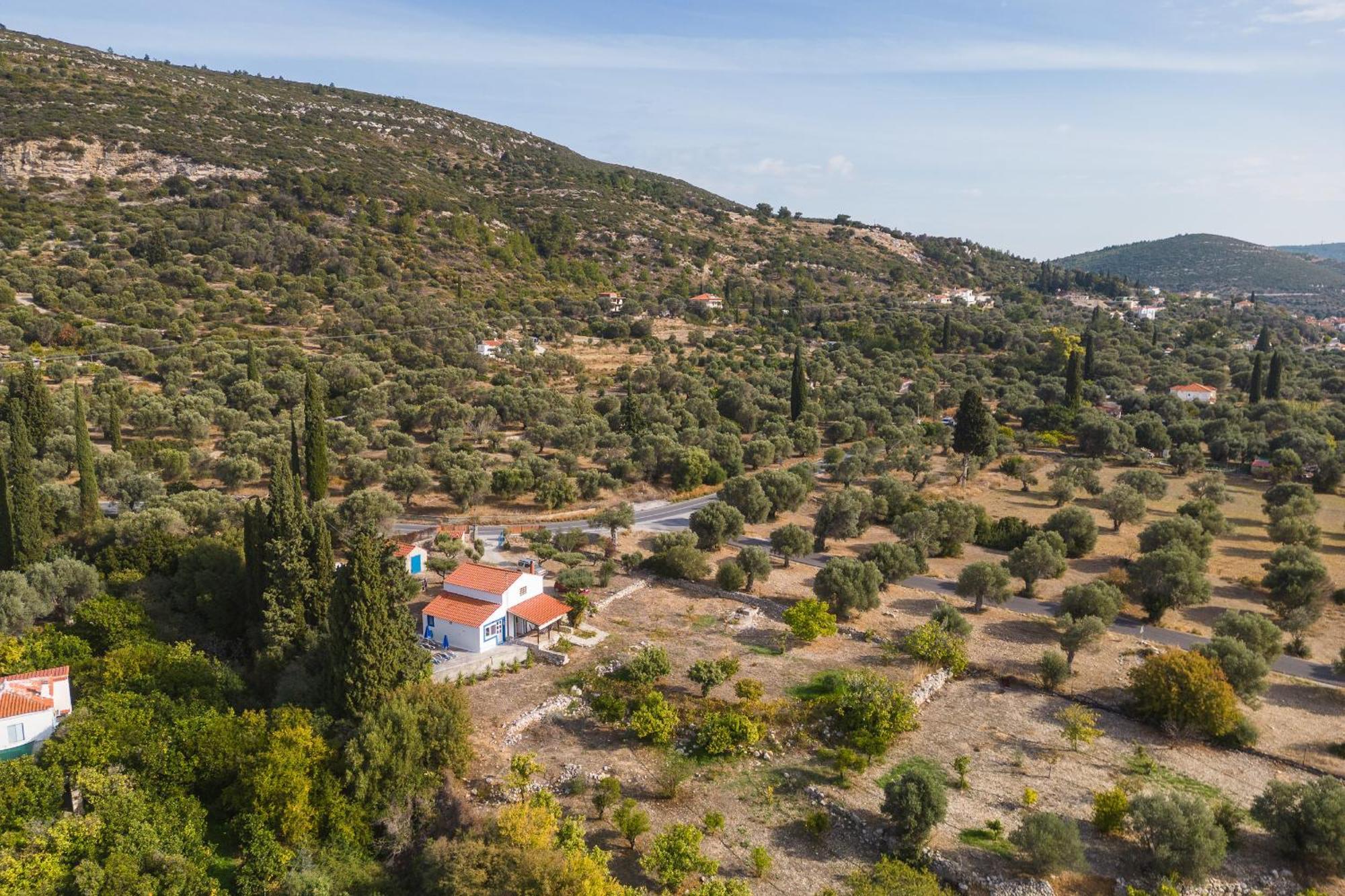 Ether Farmhouse Chora  Ngoại thất bức ảnh