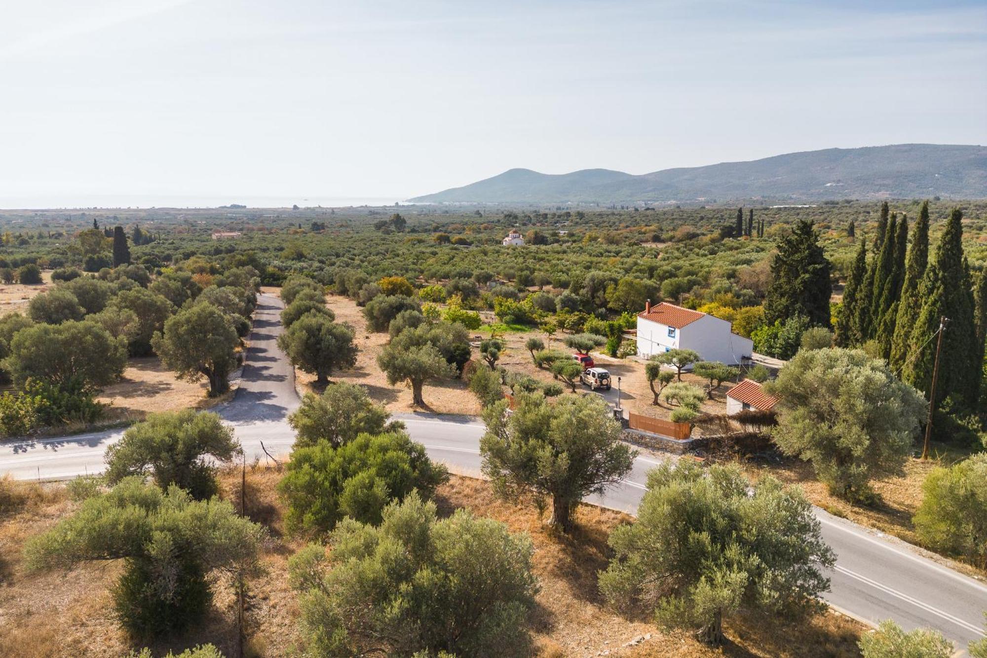 Ether Farmhouse Chora  Ngoại thất bức ảnh